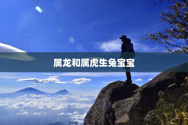 属龙和属虎生兔宝宝