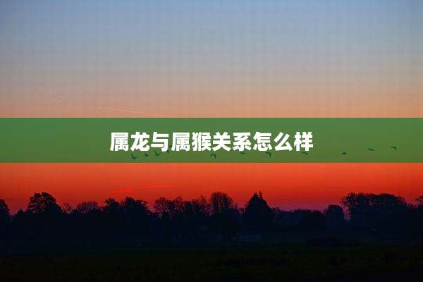 属龙与属猴关系怎么样