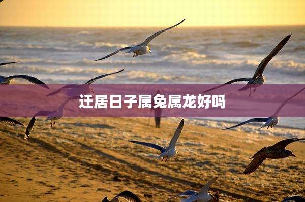 迁居日子属兔属龙好吗