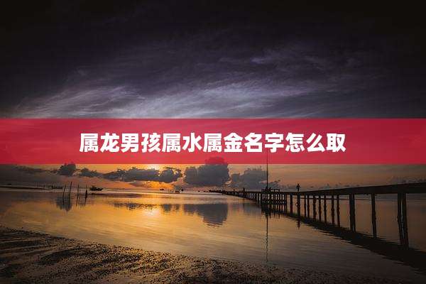 属龙男孩属水属金名字怎么取