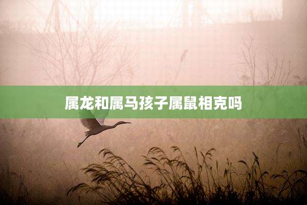 属龙和属马孩子属鼠相克吗