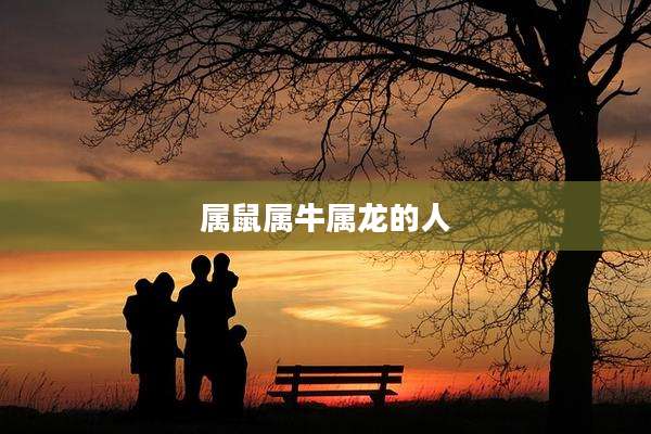 属鼠属牛属龙的人