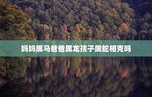 妈妈属马爸爸属龙孩子属蛇相克吗