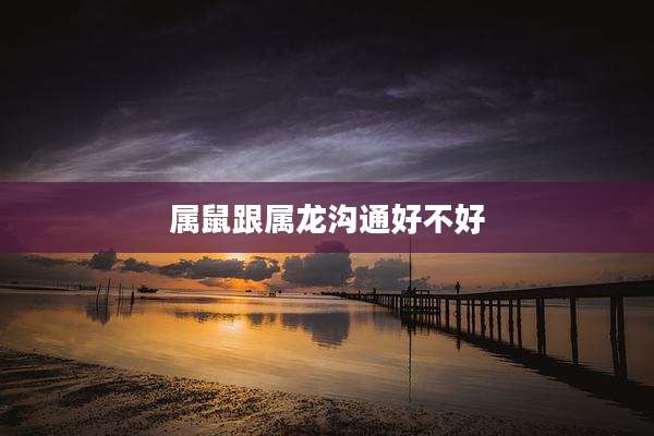 属鼠跟属龙沟通好不好