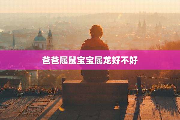 爸爸属鼠宝宝属龙好不好