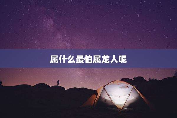 属什么最怕属龙人呢