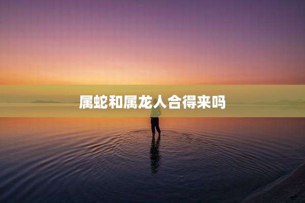 属蛇和属龙人合得来吗