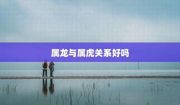 属龙与属虎关系好吗