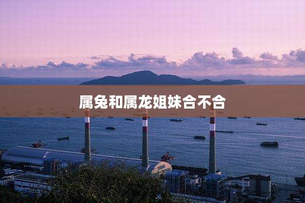 属兔和属龙姐妹合不合