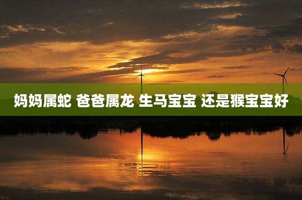 妈妈属蛇 爸爸属龙 生马宝宝 还是猴宝宝好