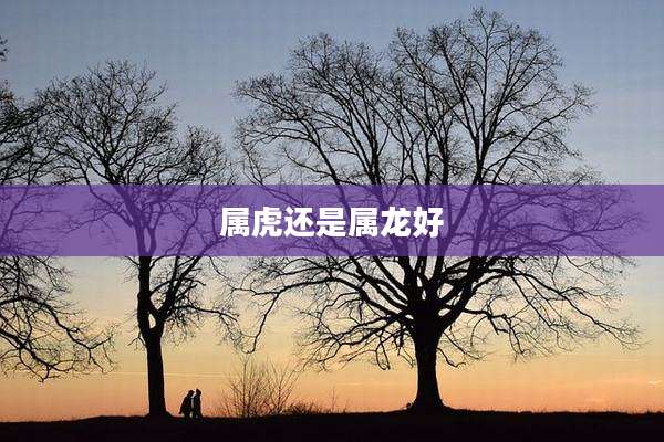 属虎还是属龙好