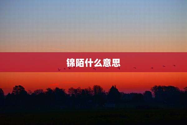 锦陌什么意思