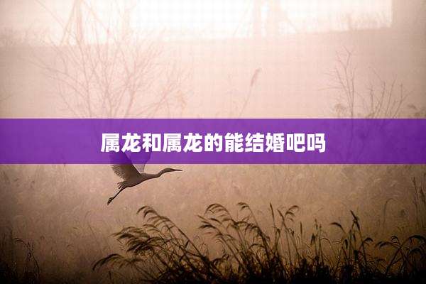 属龙和属龙的能结婚吧吗