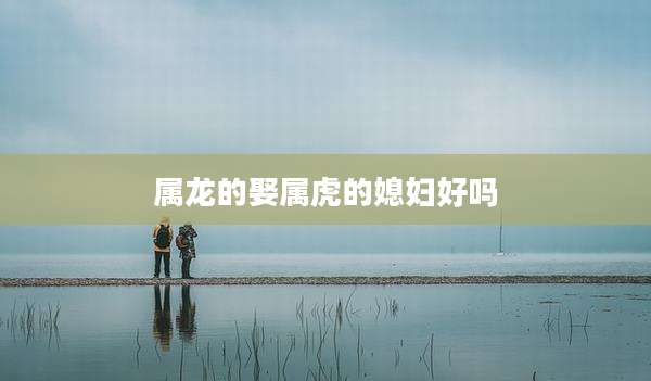 属龙的娶属虎的媳妇好吗
