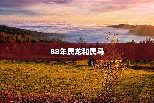 88年属龙和属马