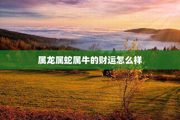 属龙属蛇属牛的财运怎么样