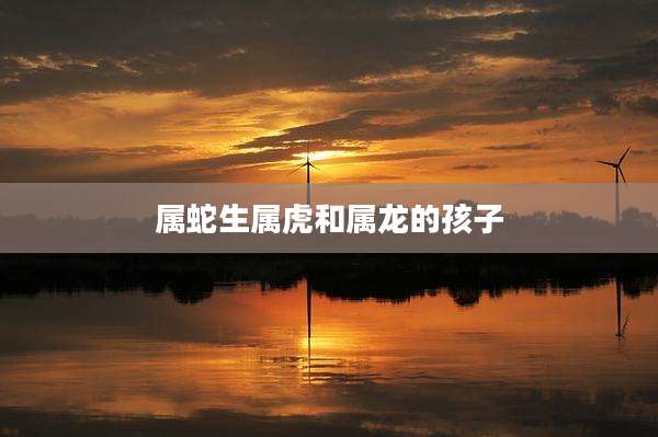 属蛇生属虎和属龙的孩子