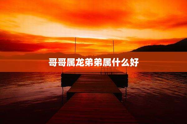 哥哥属龙弟弟属什么好