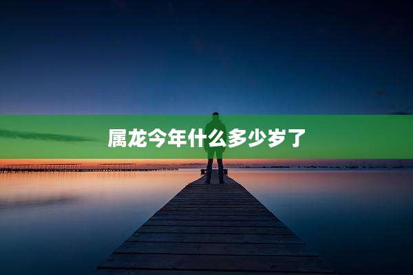 属龙今年什么多少岁了
