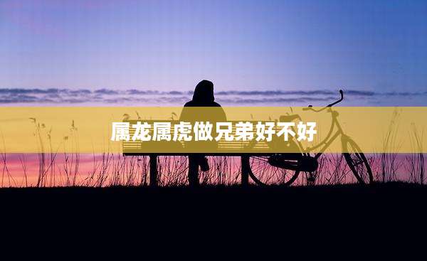 属龙属虎做兄弟好不好