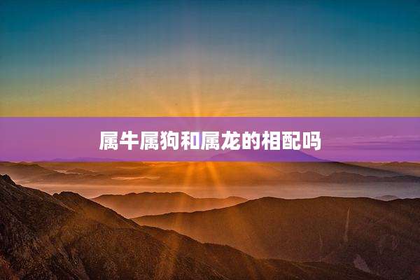 属牛属狗和属龙的相配吗