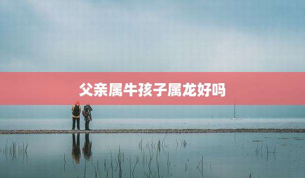 父亲属牛孩子属龙好吗
