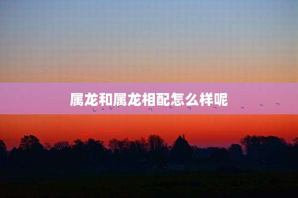 属龙和属龙相配怎么样呢
