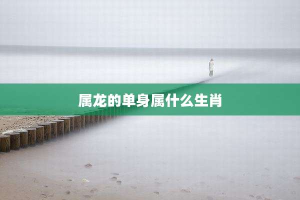 属龙的单身属什么生肖