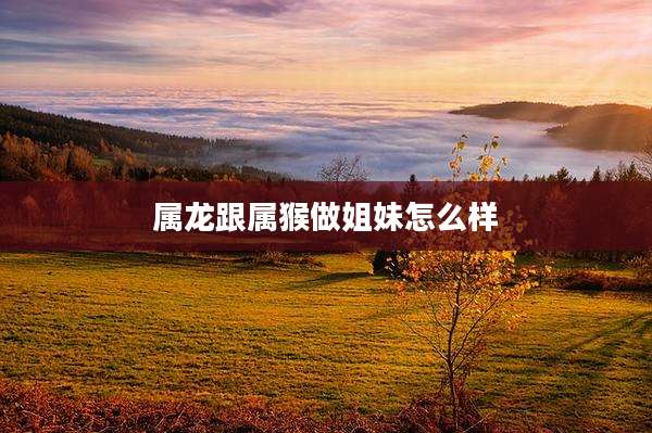 属龙跟属猴做姐妹怎么样