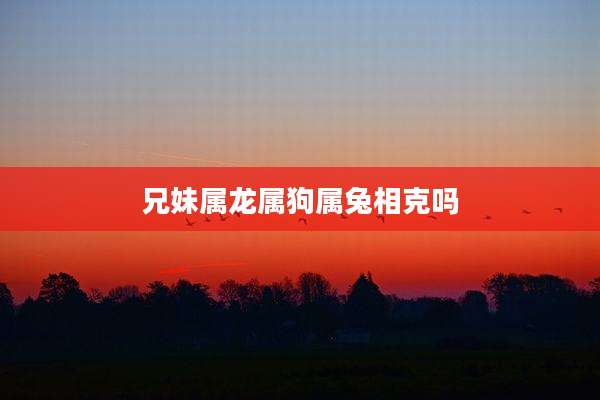 兄妹属龙属狗属兔相克吗
