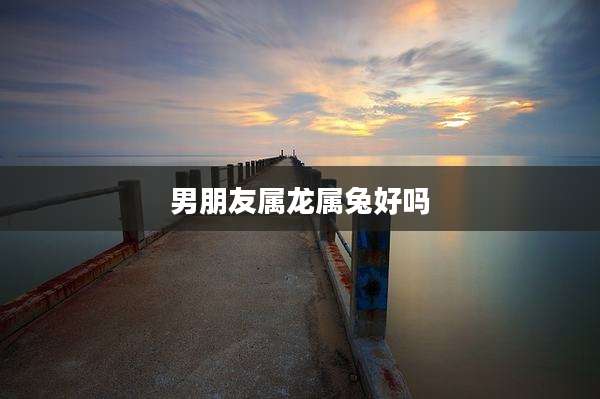 男朋友属龙属兔好吗