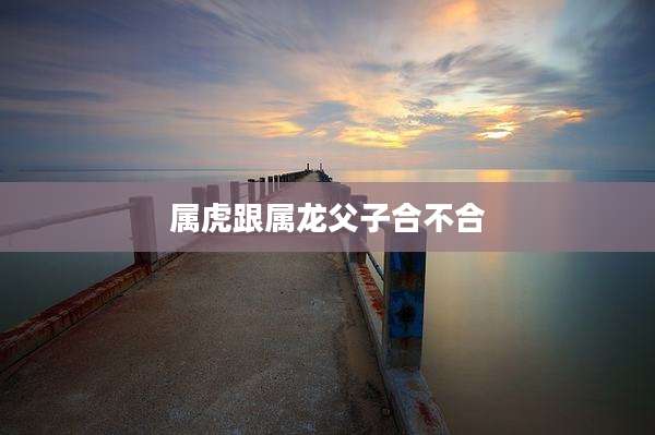 属虎跟属龙父子合不合