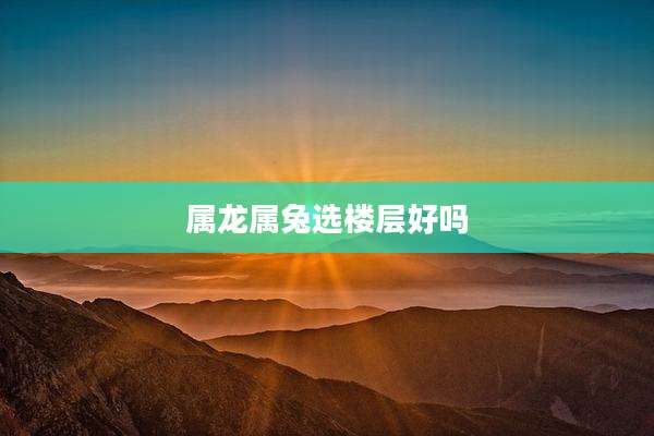 属龙属兔选楼层好吗