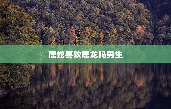 属蛇喜欢属龙吗男生