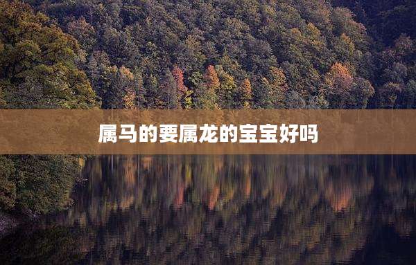 属马的要属龙的宝宝好吗