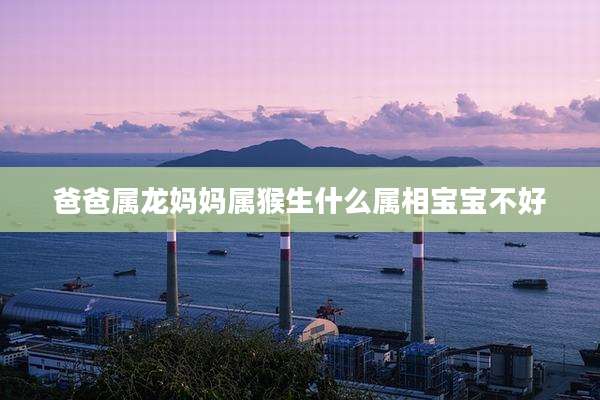 爸爸属龙妈妈属猴生什么属相宝宝不好