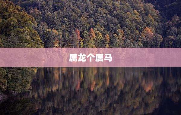 属龙个属马