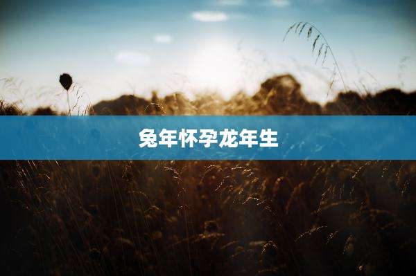 兔年怀孕龙年生