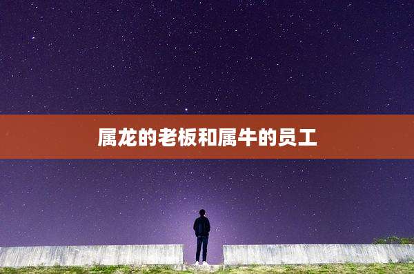 属龙的老板和属牛的员工