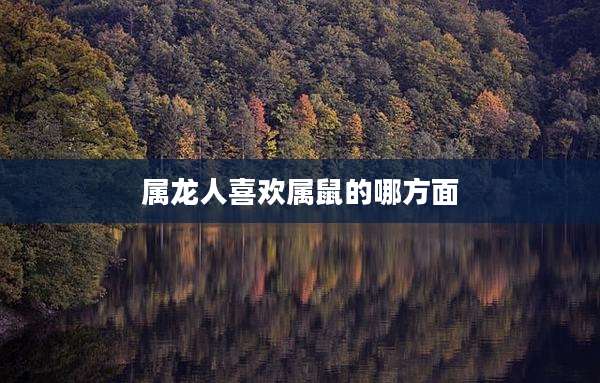 属龙人喜欢属鼠的哪方面