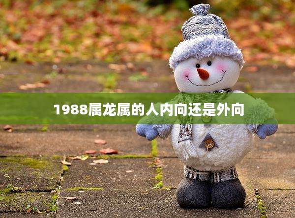 1988属龙属的人内向还是外向