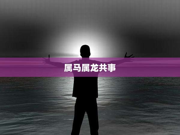 属马属龙共事