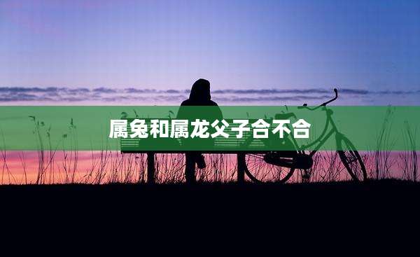 属兔和属龙父子合不合