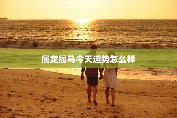 属龙属马今天运势怎么样