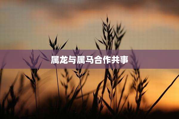 属龙与属马合作共事