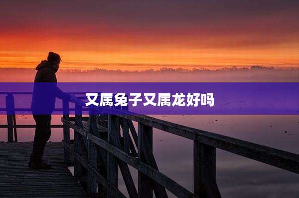 又属兔子又属龙好吗