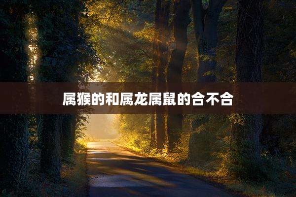 属猴的和属龙属鼠的合不合