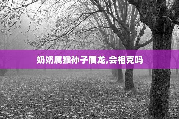奶奶属猴孙子属龙,会相克吗