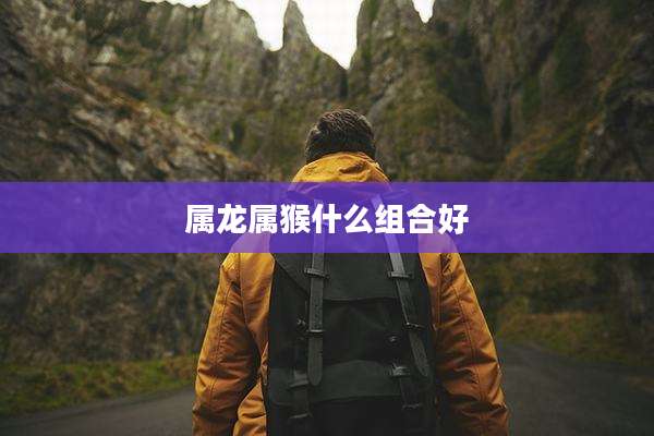 属龙属猴什么组合好