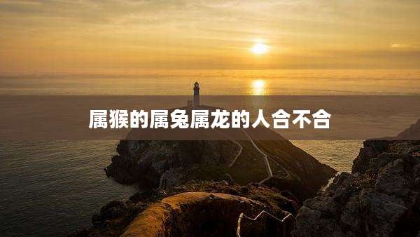 属猴的属兔属龙的人合不合